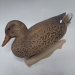 PATO DE CAZA TROMPA NARANJA  (HEMBRA)