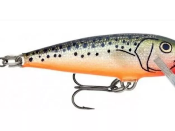 SEÑUELO COUNDOWN CD-7 7CM 8G REDFIN SPOTTED MINNOW RFSM RAPALA