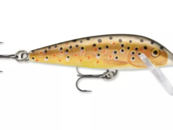 SEÑUELO COUNTDOWN CD-7 TR 7CM 8 G BROWN TROUT BROWN TROUT