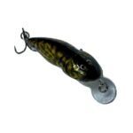BULLHEAD 6 SALMO