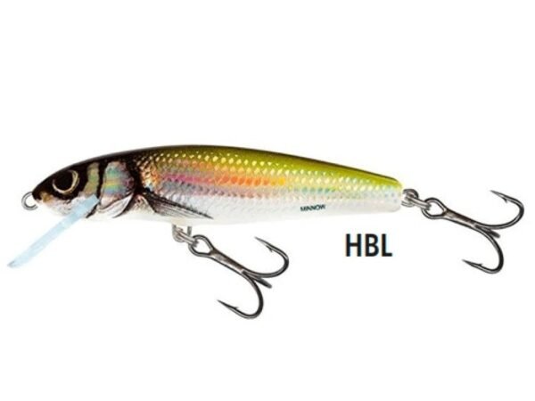 SEÑUELO MINNOW N 5 HOLO BLEAK SINKING 5 GR 5 CM SALMO