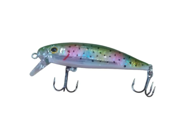 SEÑUELO RAINDOW 70 MM 10 GR MAXXIMA