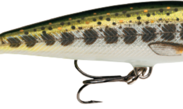 SEÑUELO COUNTDOWN MD 5 CM 5 G RAPALA