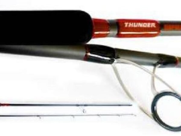 CAÑA THUNDER 300 20 - 80 GR RAPALA