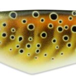 SEÑUELO CUCHARA HARMAJA 85 CM 18 GR BROWN TROUT RAPALA