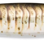 SEÑUELO CUCHARA KALLAN 110CM 26 GR STICKLEBACK RAPALA
