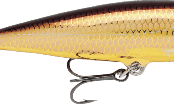 SEÑUELO COUNTDOWN SINKING 8 G GALB RAPALA