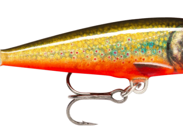 SEÑUELO COUNTDOWN CD-7 7 CM 8G LIVE CHAR CHL RAPALA
