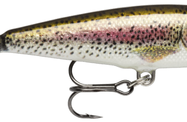 SEÑUELO COUNTDOWN CD-05 RTL RAPALA