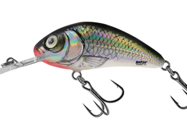 RATTLIN HORNET 4 ,5 6 GR HOLO BLEAK FLOATING SALMO
