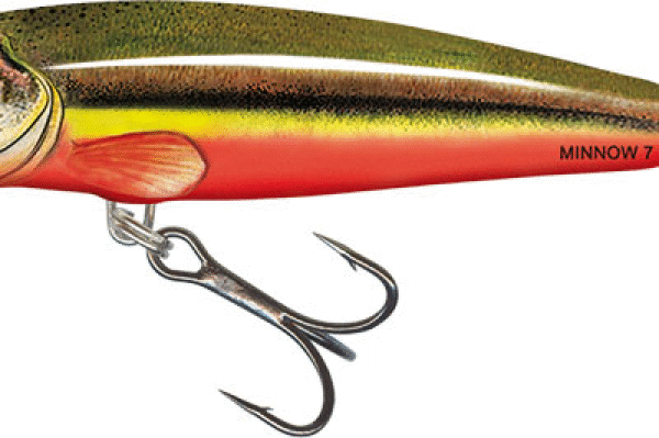 SEÑUELO MINNOW 5 5 G RAINBOW DACE SALMO