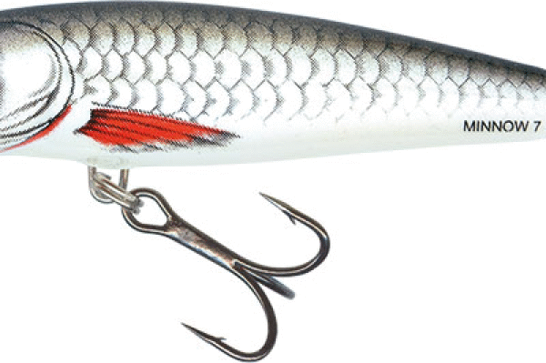 SEÑUELO MINNOW 7 CM 8 GR DACE SALMO
