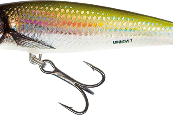 SEÑUELO MINNOW N 6 HOLO BLEAK SINKING 6 GR 6 CM SALMO
