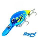 POTXA CHIOONK 21 GR LB RAGOT