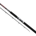CAÑA WILDERNESS 2.6 MT / 862 DAIWA