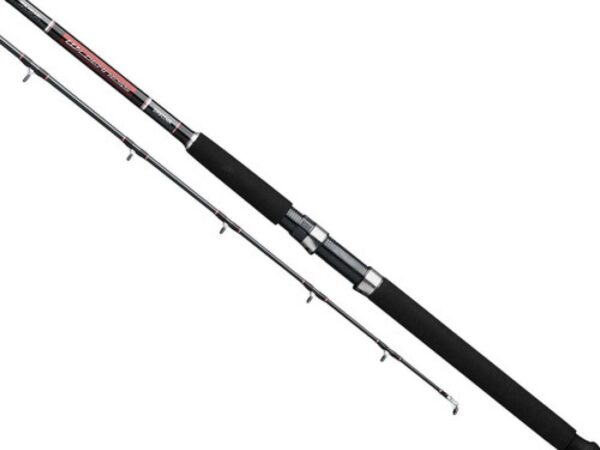 CAÑA WILDERNESS 2.6 MT / 8'6" DAIWA