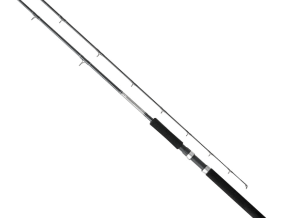 CAÑA GREAT LAKES 2.6 MT 862 MF DAIWA