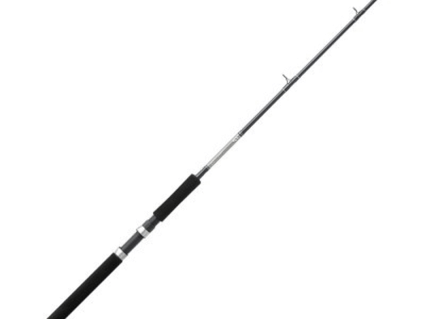 CAÑA GREAT LAKES 2.4MT / 802 DAIWA