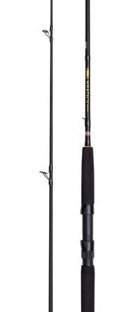 Caña Penn Wrath II Spin 1002 / 3,00 mt / 20 - 80g
