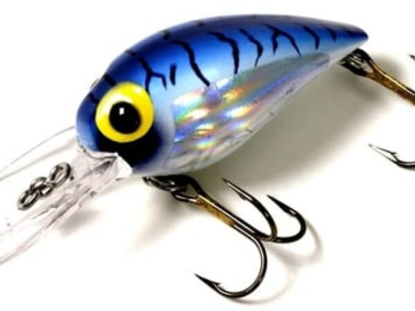 SEÑUELO POCHA 031 AZUL PLATA BRADS MAGNUM WIGGLER