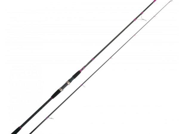 CAÑA EXPLORER SHORE JIG EVOLUTION EXTREME 300XH 50-150 GRS CINNETIC