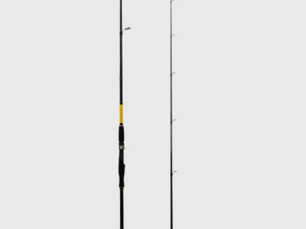 Caña Shimano FX XT Seabass 300MH 3.00 mt / 30-60g