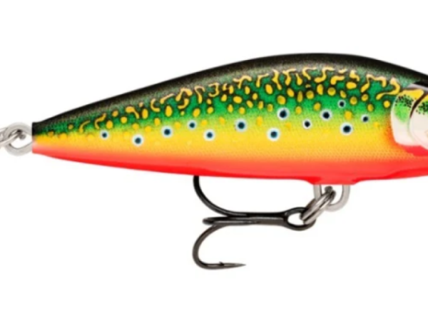 SEÑUELO COUNTDOWN ELITE 55 GDBTR RAPALA